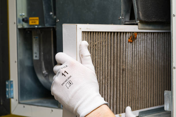 Best Affordable Duct Cleaning Services  in Ardmore, AL